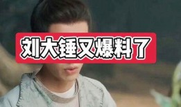 刘大锤今日爆料的是谁啊,揭秘神秘人物身份